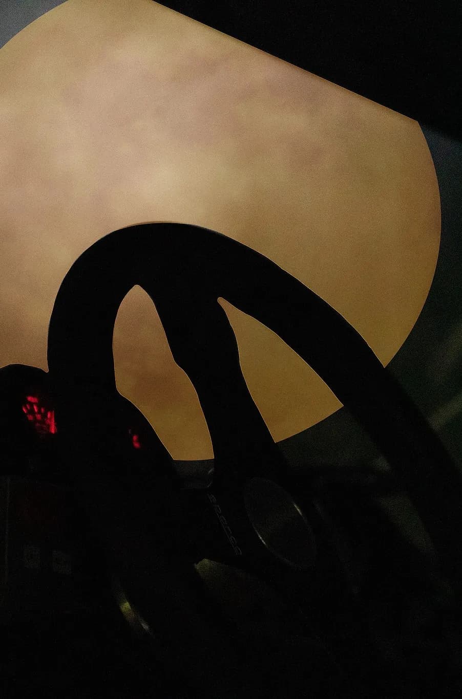 To The Moon And Back